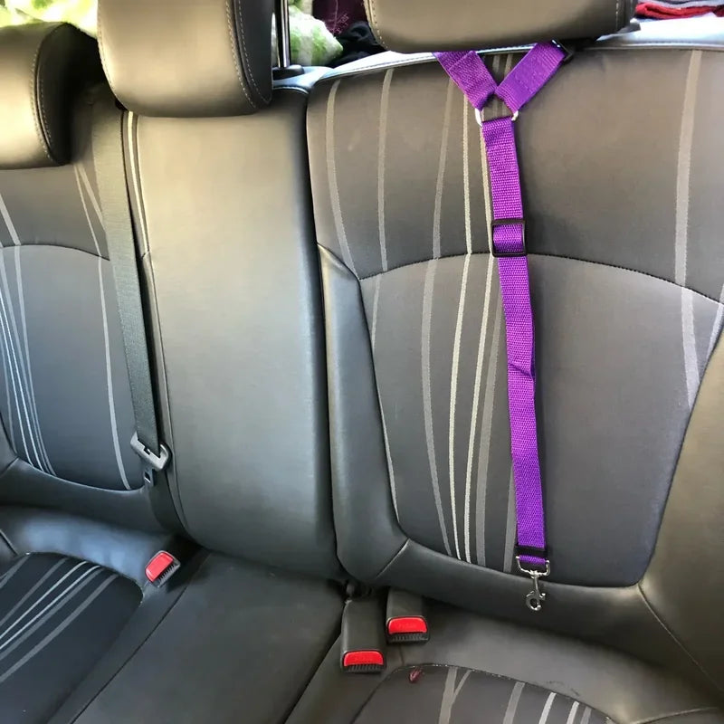DogSecure – Sicherheitsleine fürs Auto