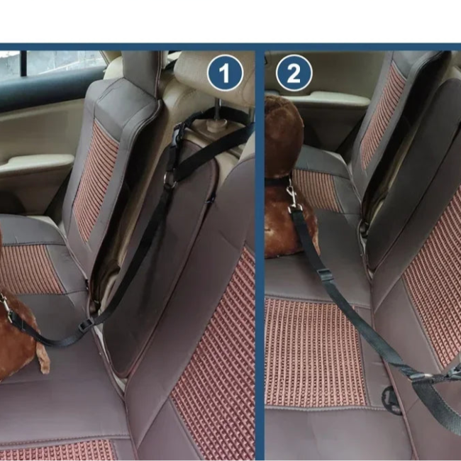 DogSecure – Sicherheitsleine fürs Auto